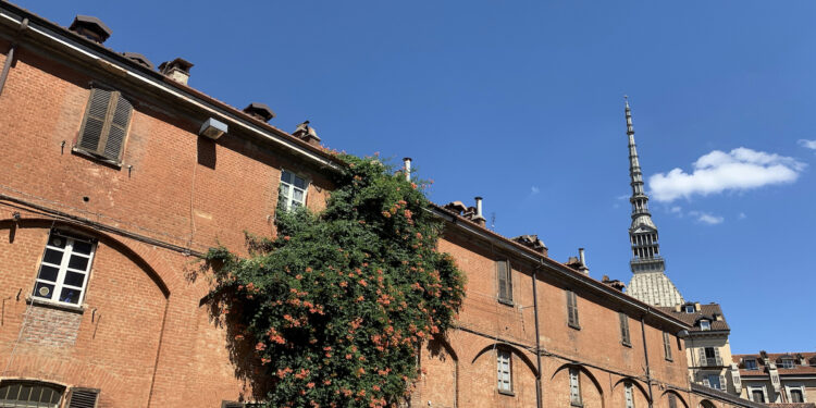 Politecna Europa per la riqualificazione della Cavallerizza Reale di Torino