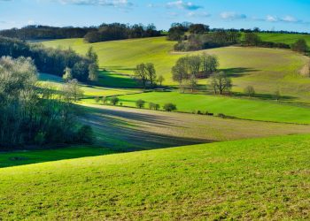 Il valore della terra riprende a correre in Italia