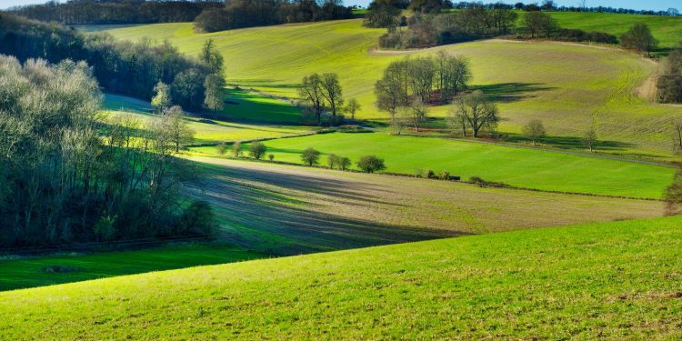 Il valore della terra riprende a correre in Italia