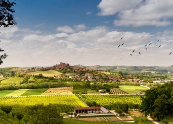 Mercato dei vigneti sempre più vivace in Italia