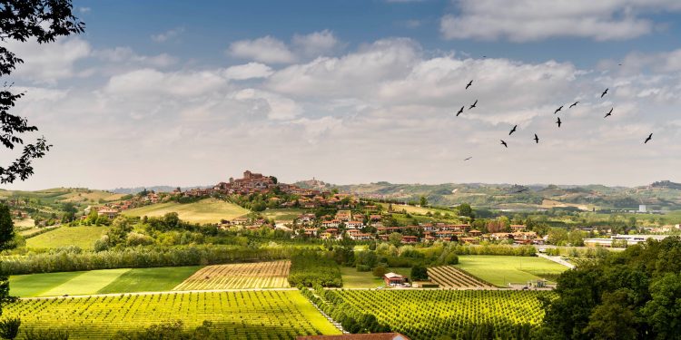 Mercato dei vigneti sempre più vivace in Italia