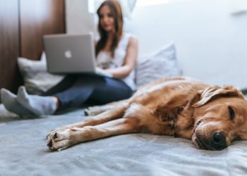 Una casa su tre in Italia viene comprata da acquirenti single