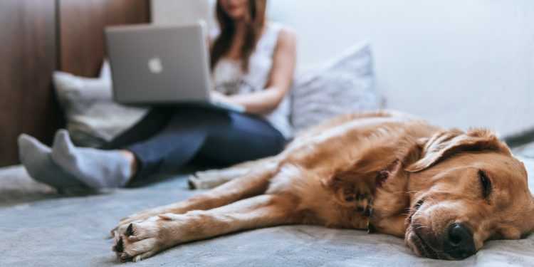 Una casa su tre in Italia viene comprata da acquirenti single
