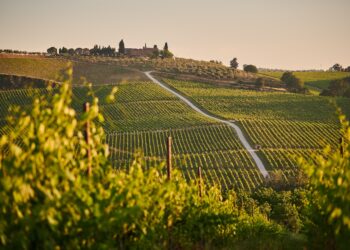 Vigne e mattoni, casali da 45 mln di € affacciati sui filari delle Langhe