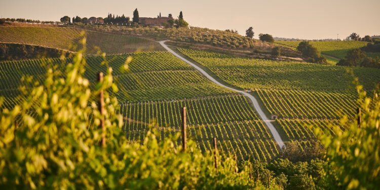 Vigne e mattoni, casali da 45 mln di € affacciati sui filari delle Langhe