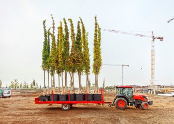 ‘SeiMilano: Racconto di una metamorfosi’: la rigenerazione urbana in mostra alla Triennale di Milano